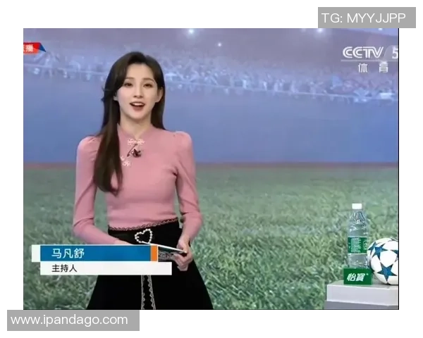 CCTV天下足球主持人背后的故事与精彩瞬间揭秘